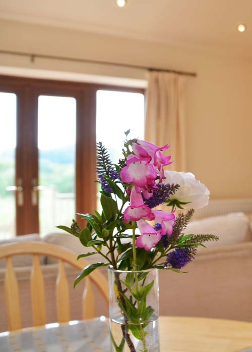 4 Star Cottages on the Isle of Wight #1